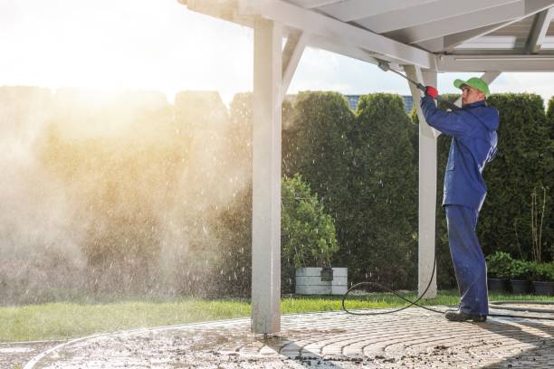 Best Animal Enclosure Cleaning  in Warrenton, VA